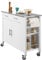 SoBuy Küchenwagen mit Edelstahlplatte Rollwagen mit Seitenregal, Sideboard, Kücheninsel, Küchenschrank & Servierwagen auf Rollen, Mobiler Trolley für Küchenorganisation Weiß, 107x94x46 cm FKW108-W