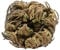 Rose Von Jericho Getrocknet Ganz Pflanze - Selaginella Lepidophylla (24pcs)