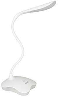 USB LED Desk Lamp with Nightlight