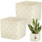 KOTARBAU® Maceta de cerámica cuadrada vintage crema, 13 x 13 cm, altura: 13 cm, cerámica esmaltada, 2 unidades, maceta cuadrada, maceta interior, maceta de cerámica, macetas originales