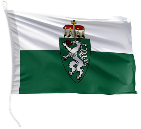 FLAGLY Premium Bootsfahne Steiermark 40 x 60 cm - 115g/m² Stoffgewicht - gedruckt, robust mit Strick & Schlaufe, Bootszubehör Motorboot (40 x 60 cm - Steiermark)