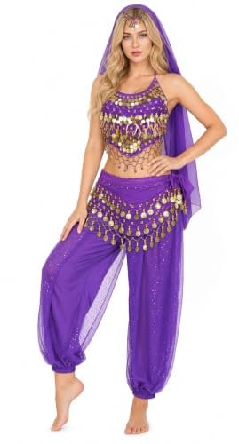 Baisdan Disfraz de danza del vientre de la India para mujer, disfraz profesional de princesa árabe para carnaval, Halloween