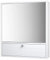 CASART Wall-Mounted Bathroom Mirror Cabinet, 2/3 Door Storage Cupboard with Shelves & Cushioning Hinges, Bath Organiser Storage for Bedroom, Living Room and Toilet (Double Door with Compartment)