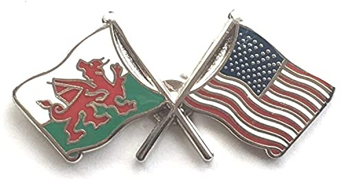 Wales & USA America Flags Friendship Courtesy Enamel Lapel Pin Badge