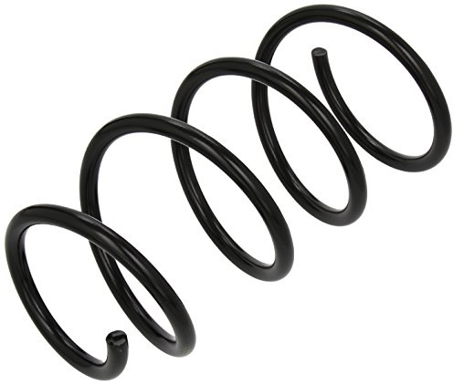 lesjofers 4092560 Coil Spring Front