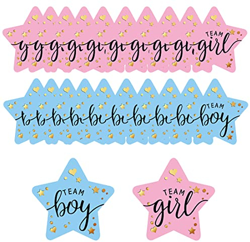 LYITZW 100 Stücke Gender Reveal Party Baby Party Dekoration Boy or Girl Gender Reveal Party Deko Sticker Runde Baby Geschlecht Verkünden Partys und Baby Showers (Blau,Pink)