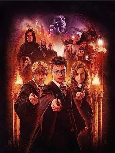 5D Harry Potter Diamant-Malerei-Set für Erwachsene, Diamant-Kunst-Kunst-Kits für Heimdekoration, 30,5 x 40,6 cm