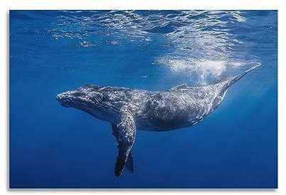 Sea Life Poster Schönes Wal-Poster, dekoratives Gemälde, Leinwand-Wandposter und Kunstdruck, modernes Familienschlafzimmer-Dekor-Poster, 20 x 30 cm