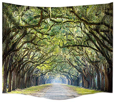 A.Monamour Eichen Bäume Avenue Straßen Fotografiert Zu Hause Wand Deko Stoff Wand Hängenden Tapisserie Wanddekor Wohnaccessoires Deko Wandteppiche 153x102cm