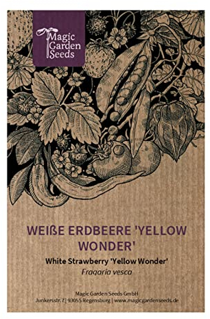 Fresa blanca ''Yellow Wonder (Fragaria vesca) - aprox. 100 semillas