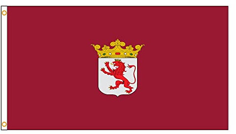 Bandera 90x150cm Bandera España León Español