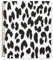 Kate Spade New York Large College Ruled Notebook, 11 x 9.5 Spiral Notebook with 160 Pages, Modern Leopard