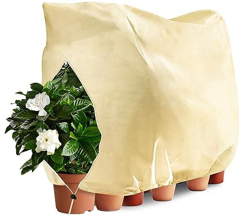 LangRay Pflanzenschutz Winter, 200x240cm Winterschutz für Pflanzen Frostschutz Pflanzenabdeckungen 80g/㎡ mit Reißverschluss Zugband für Kübelpflanzen Palmen Olivenbaum (Beige Weiß, 1pc)