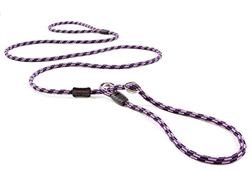EZYDOG Luca Lead LITE | 1.7m,All-In-One, One-Size-Fits-All, Easy to Slip On, No Harness or Collar Needed (Purple)