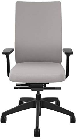 Sedus se:do Bürostuhl, Schreibtischstuhl, individuell anpassbar, ideal fürs Home-Office (Grau)
