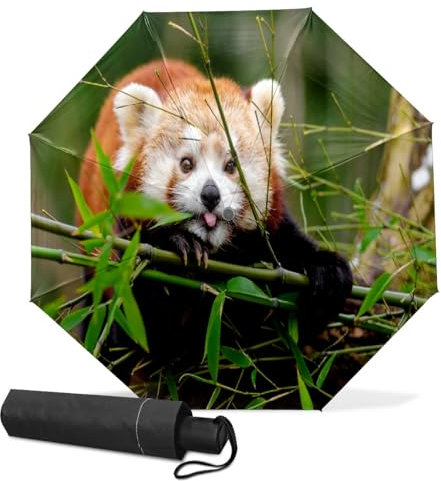 GISPOG Automatischer faltbarer Regenschirm, roter Panda-Waschbär, wasserdicht, kompakt, für Sonne und Regen, Reiseschirme für Damen und Herren, einfarbig, Einheitsgröße