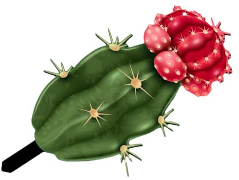 Toddmomy Piquet de Cactus Décoratif pour Jardin Décoration Extérieure Piquet de Plante de Cactus Ornement pour Courtyard Pelouse