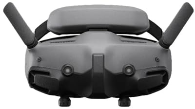 Tragbare FPV-Brille, kompatibel mit Avata 2 Mini 4 Pro Air3 Drohnenzubehör