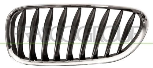 PRASCO BM6242004 Frontgrillspoiler