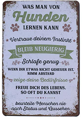 Hioni Was Man Von Hunden Lernen Kann Bleib Neugierig Vintage Blechschild Poster Wandschild Wand Dekoration Metallschild Türschild