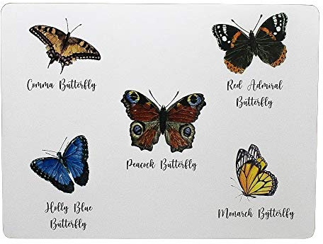 Tischsets Schmetterlinge (4er-Satz)