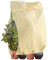 Winterschutz für Pflanzen, 110*170cm Winter Pflanzenschutz Schutzhülle Frostschutz Haube Garten Blumenschutz Überwinterungszelt Zelt Kälteschutz Baum Kübelpflanzen Palmenschutz Olivenbaum Topfschutz