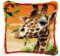 Knüpfteppich Zum Selber Knüpf-Sets mit Kissen knüpfen-Set 43x43cm Kissenbezug-Set für Erwachsene und Kinder Latch Hook Kit Heimaccessoire, Wandkunst