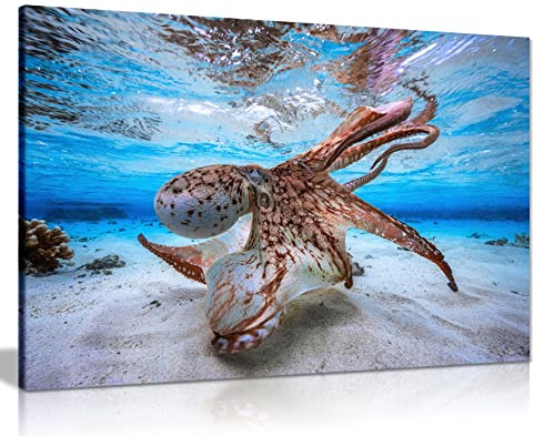 Panther Print Fine Art Prints Dancing Octopus Underwater Artistic Framed Canvas Print, Pictures for Home Walls, Bedroom, Living Room & Bathroom Decor 91x61cm (36x24in)