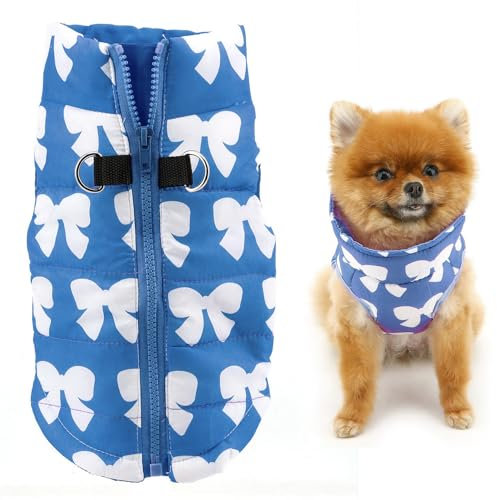 SMALLLEE_LUCKY_STORE Giacca invernale impermeabile per animali domestici, con anello a D, per cani di piccola taglia e gatto, imbottita con cerniera, cappotto caldo per chihuahua, Yorkie, gattino, blu