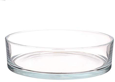 INNA-Glas Cuenco para Fruta Vera Air de Cristal, Transparente, 8cm, Ø29cm - Frutero Decorativo - Recipiente de Vidrio