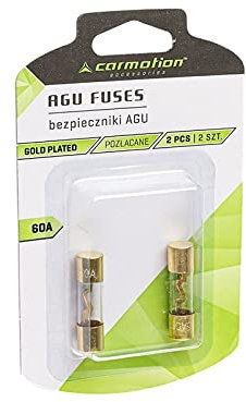 AGU Sicherungen 60A 2Stück Glasrohr Gold Überzogen Auto Power Schutz Linie Tube Audio Power