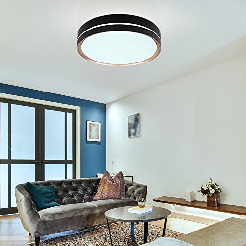 LED Deckenleuchte Wohnzimmerlampe Deckenlampe Esszimmerleuchte, Metall Kunststoff weiß bronze, CCT dimmbar Fernbedienung Memory/- Nachtlichtfunktion, 24W 1100lm 2700-6500K warmweiß-kaltweiß, H 8 cm