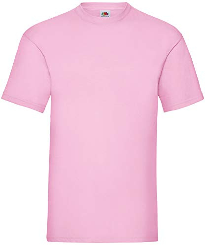 Fruit of the Loom Men's T-Shirt