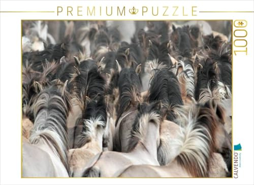 CALVENDO Puzzle Dülmener Wildpferde | 1000 Teile Lege-Größe 64 x 48 cm Foto-Puzzle für glückliche Stunden