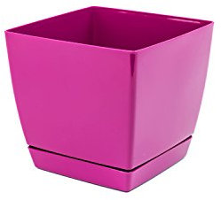 Fucsia plástico cuadrado macetas COUBI 10 cm con bandeja extraíble