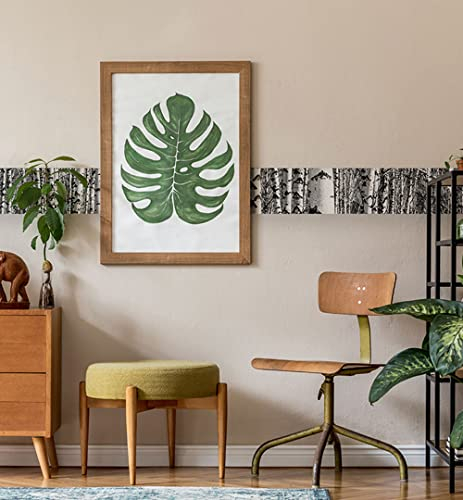 MyMaxxi | Bordüre | Birken Wald 600 x 20cm | Wandbordüre Wandtattoo | Tapetenbordüre aus Tapetenvlies | Dekoration für Ihr Badezimmer Wohnzimmer Küche