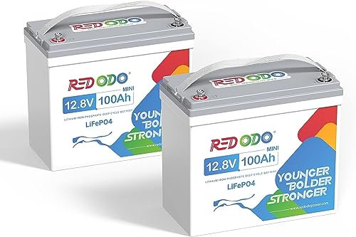 Redodo 12V 100Ah Mini batteria al litio LiFePO4 (2 Pack) BMS integrato 100A e celle di grado A, fino a 15000 cicli e 10 anni di durata