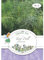 Grüne Fee - Topf-Dill Fernleaf Samen - 12137