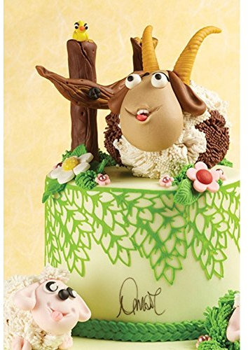 Cake Company Magic Decor Silikonmatte Für Essbare Spitzen-Deko | 80,5