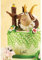 Cake Company Magic Decor Silikonmatte Für Essbare Spitzen-Deko | 80,5