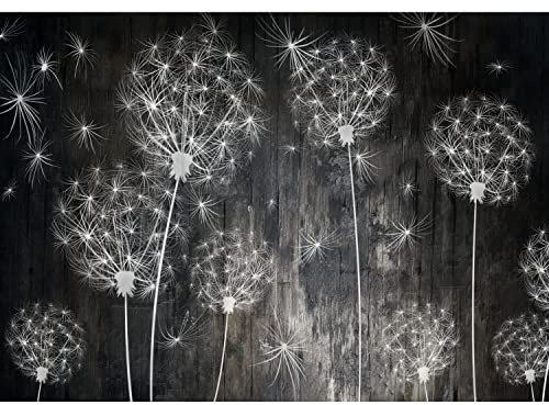 Runa Art Papier peint intissé 396 x 280 cm bois pissenlits | Toison Décoration Murale Salon Chambre á Coucherr | Fabrication Allemande | noir 9094012a