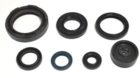 Athena P400485400254 Wellendichtringsatz Motor