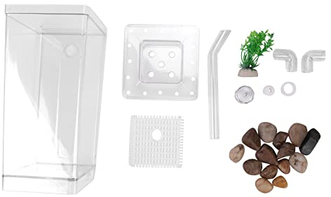 Scalewbin LED Mini Aquarium Aquarium Selbstreinigung Aquarium Schuessel Bequem Schreibtisch Aquarium Fuer Buero Zuhause Dekoration Haustier Zubehoer