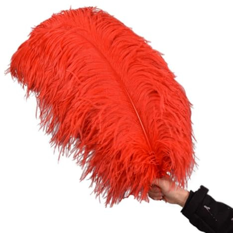 JUSHIW Rote Straußenfedern zur Dekoration, Federn, Dekor, 15–70 cm, große Federn, Fliegenbindematerialien in der Mitte der Tischdekoration, 65–70 cm, große Stange, 50 Stück