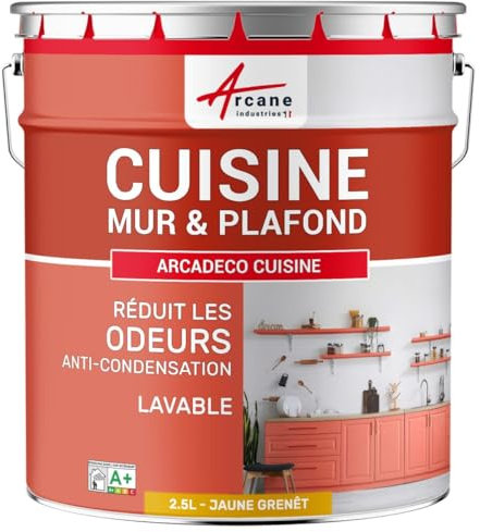 ARCANE INDUSTRIES Peinture Cuisine, lessivable, absorbe Les odeurs - 2.5 L Jaune Genêt - RAL 1032