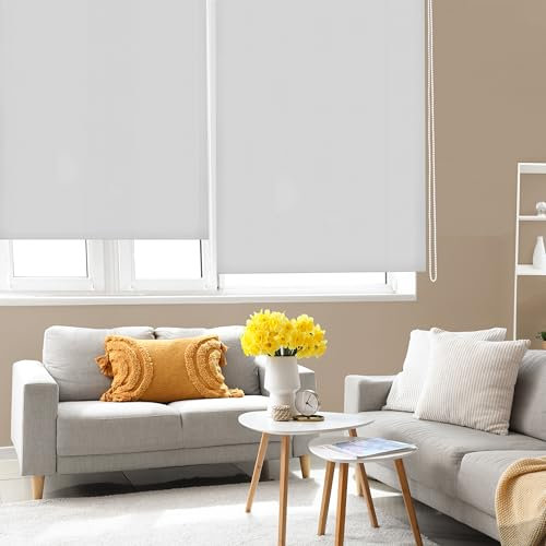 Blindecor Ara | Tenda a rullo traslucida tinta unita - Argento grigio, 180 x 250 cm (Larghezza x Altezza) | Dimensioni del tessuto 177 x 245 cm | Tenda per interne