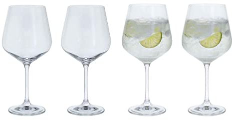 Cheers! Gin & Tonic Copa, Set of 4