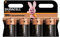 4X Duracell D Plus (1 Blister Pack of 4 Batteries) 4 Batteries (LR20/MN1300 Torch/Mono)