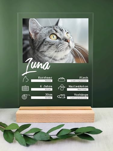 Katzen Halterin Geschenk personalisiert - Acryl Geschenk - Definition: Katze Quartett - Katzen Geschenke, Katzen Geschenk, Katzen Deko, Katzen Dekoration, Katzenmama, Katzen Mama