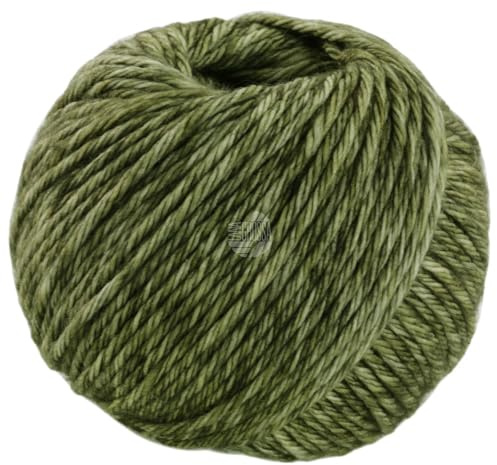 LANA GROSSA Vintage Chunky | Merinoklassiker mit Ton in Ton Farbeffekt | Handstrickgarn aus 100% Schurwolle (Merino) | 50g Wolle zum Stricken & Häkeln | 80m Garn FB 3 Hell-/Moosgrün